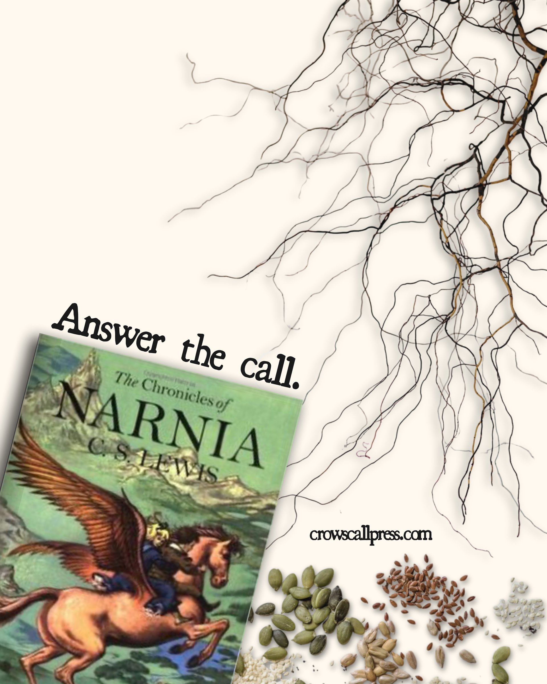 Promotional graphic for The Chronicles of Narnia