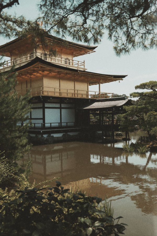 Kinkaku-ji, the Golden Pavilion, framed by pine branches