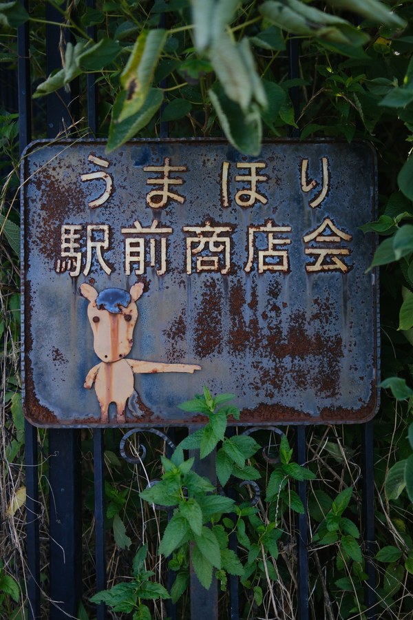 Weathered enamel sign with a horse figure, tangled in overgrown greenery