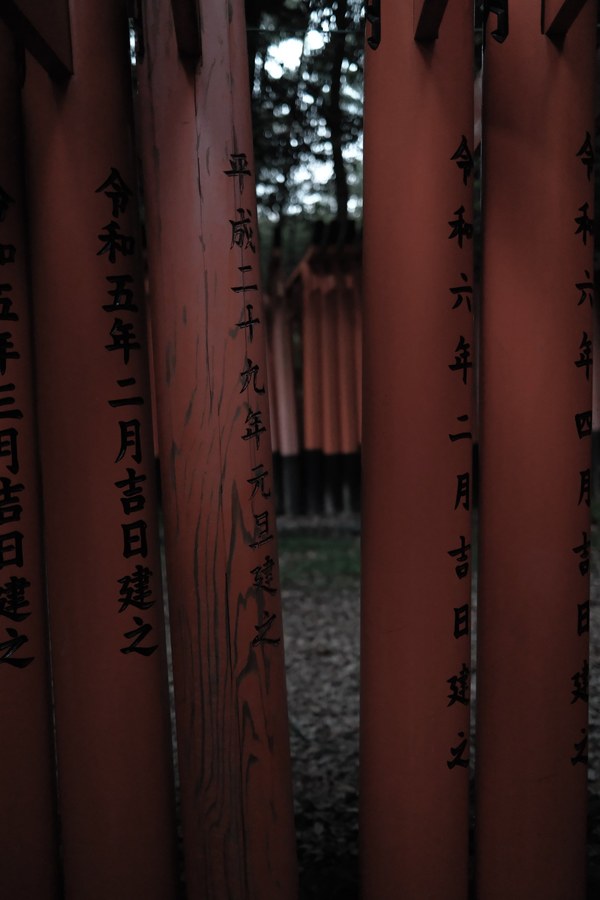 Row of orange shrine gate posts inscribed with Japanese characters